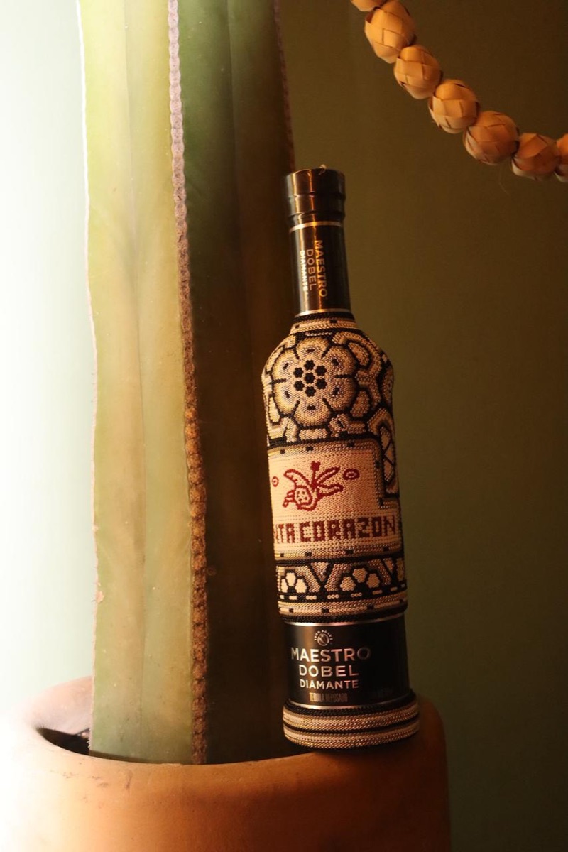 Botella artesanal junto a cactus con tonos cálidos